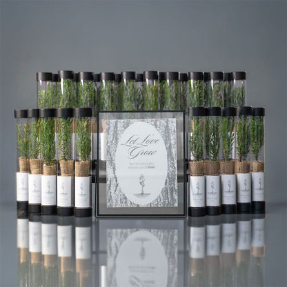 Matching wedding table sign and tree sapling party favors