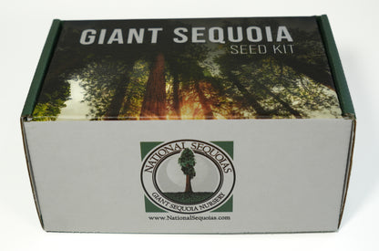 Giant Sequoia Seed Kit